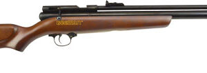 BEEMAN 1322 PCP CHIEF .22 - PELLET AIR RIFLE SINGLE SHOT