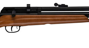 BEEMAN 1331 PCP RADIER .22 CAL - PELLET AIR RIFLE 10 SHOT